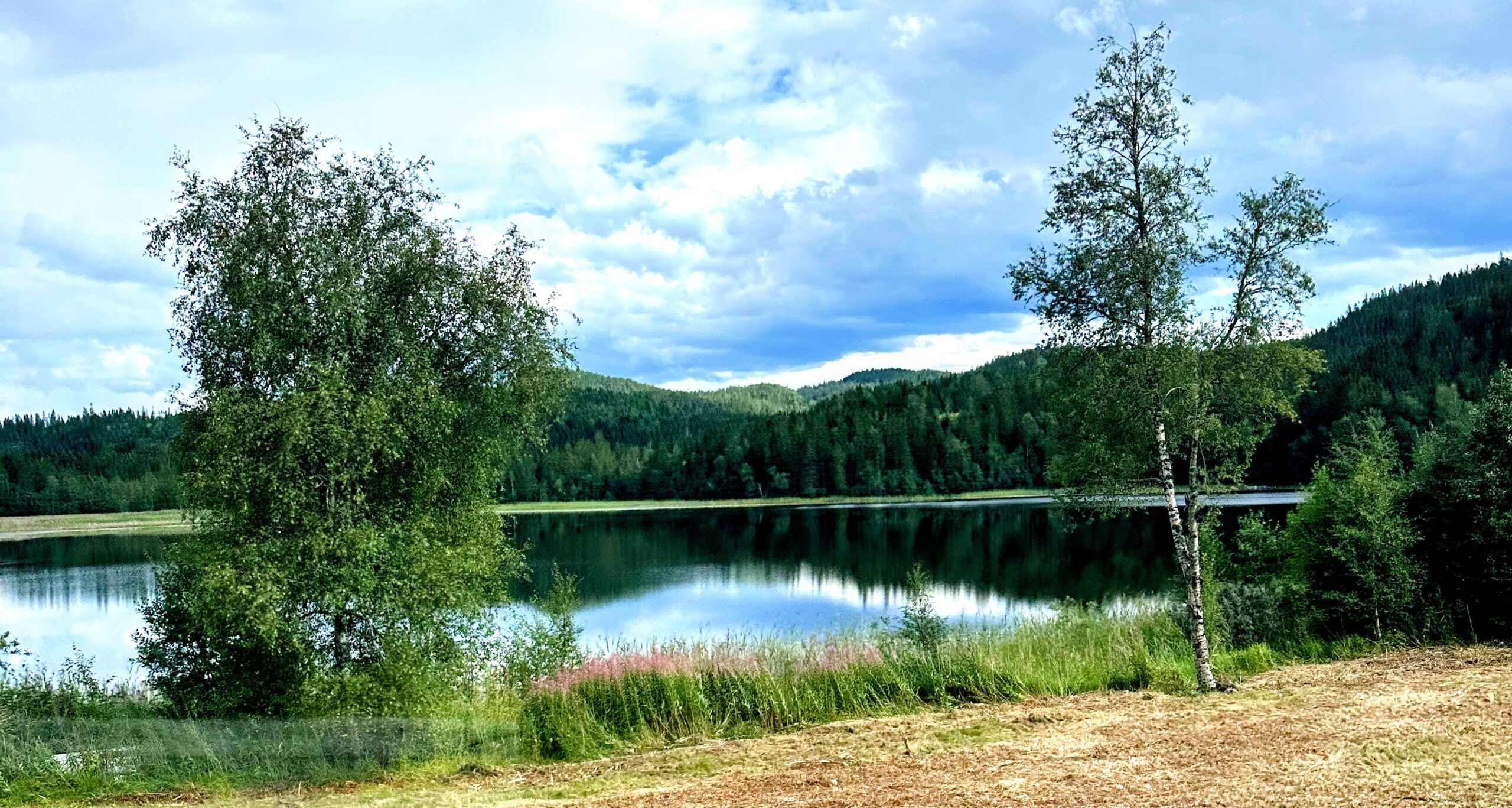 The Great Unveiling – Awakening to the Real World