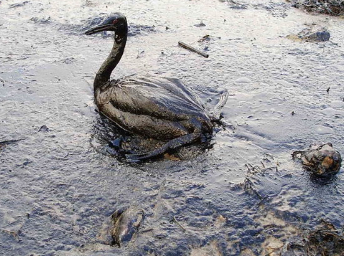 In the Name of Profit