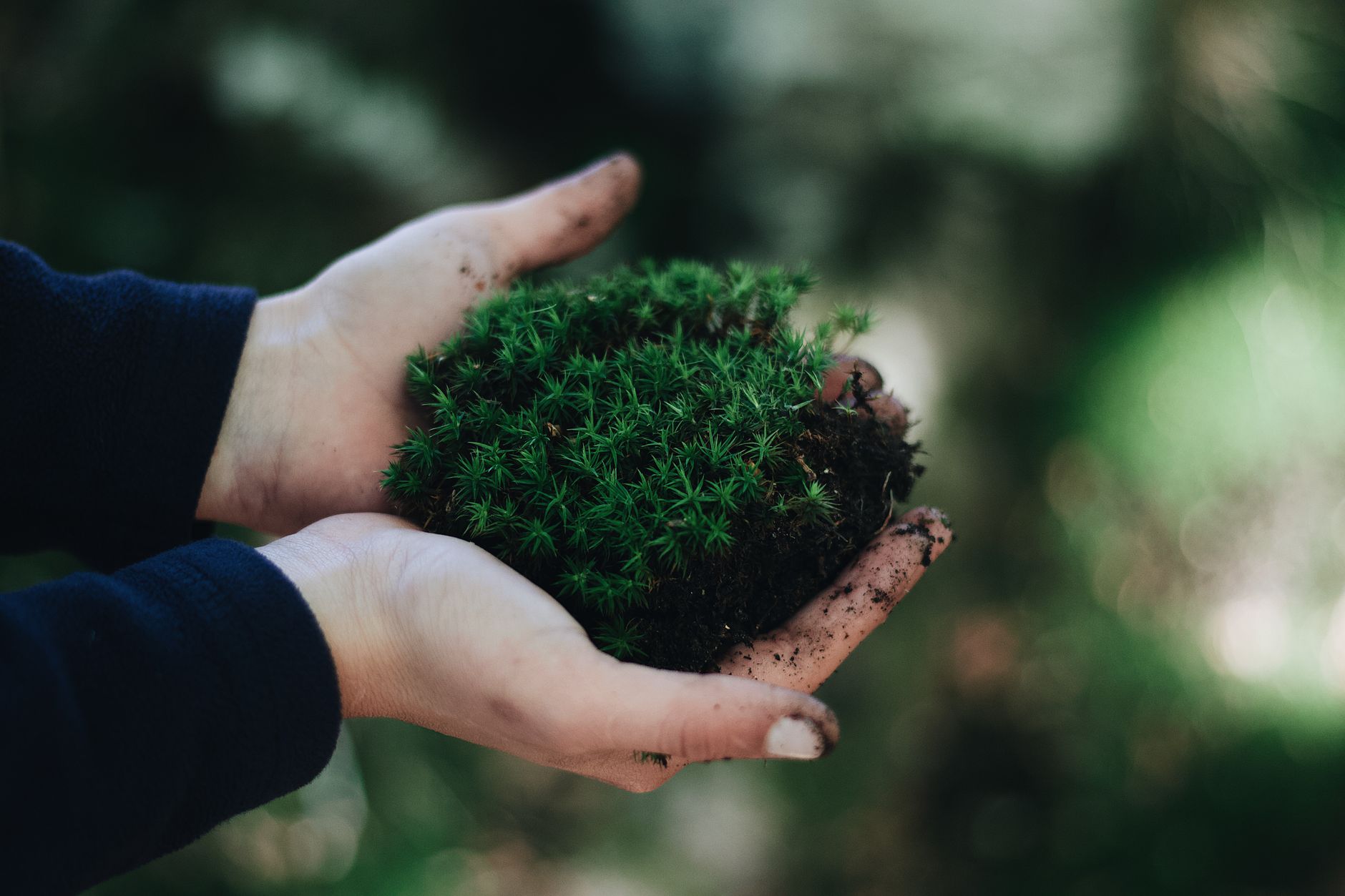 Ecosystem or Egosystem?