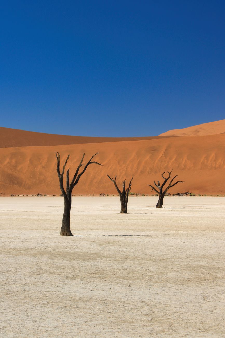 The Planetary Paradox